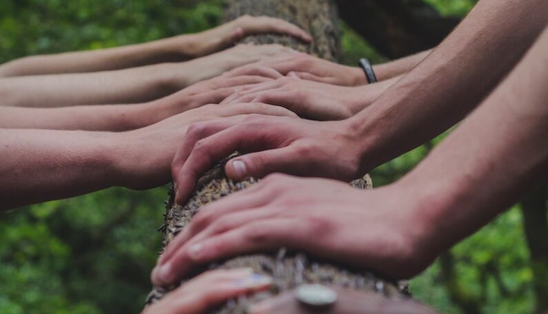 a group of people holding hands on top of a tree