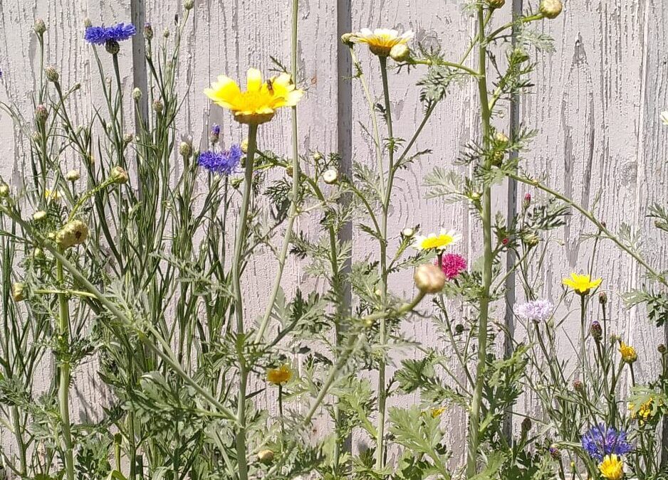 Un immense merci pour votre participation et vos votes !  