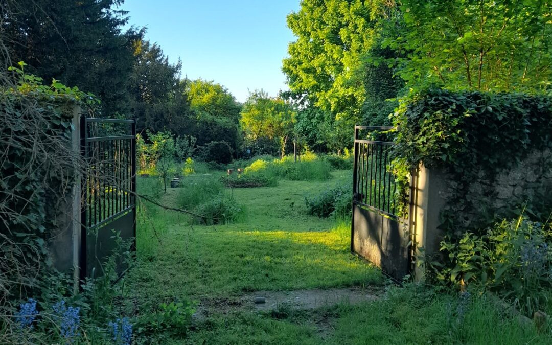 Au Bois Fleuri les travaux de l’été